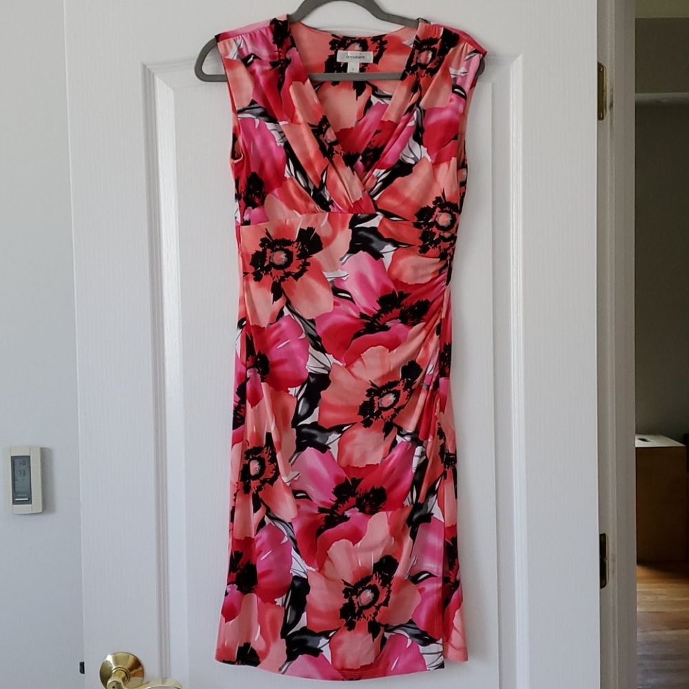 Dress Barn dress